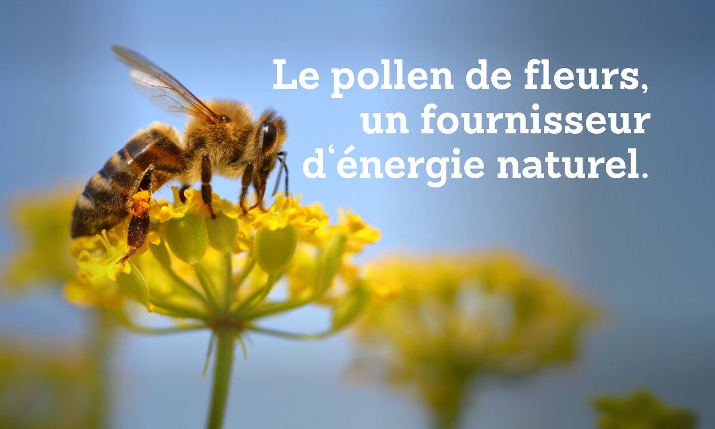MyAloe%20forever-bee-pollen.jpg?1655632591953